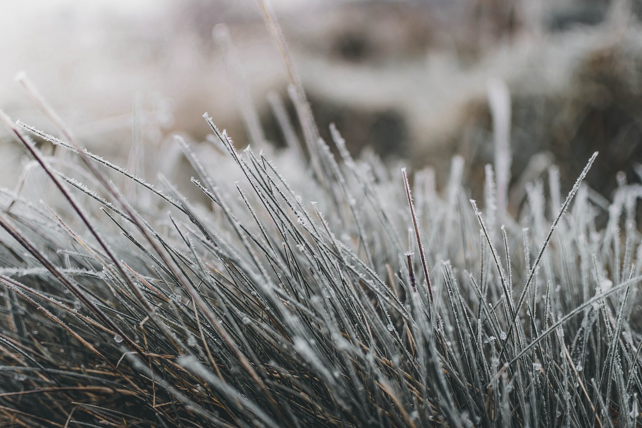 How to Layer for Cold Weather Hikes Without Overheating